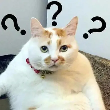 1603765841375983.jpg